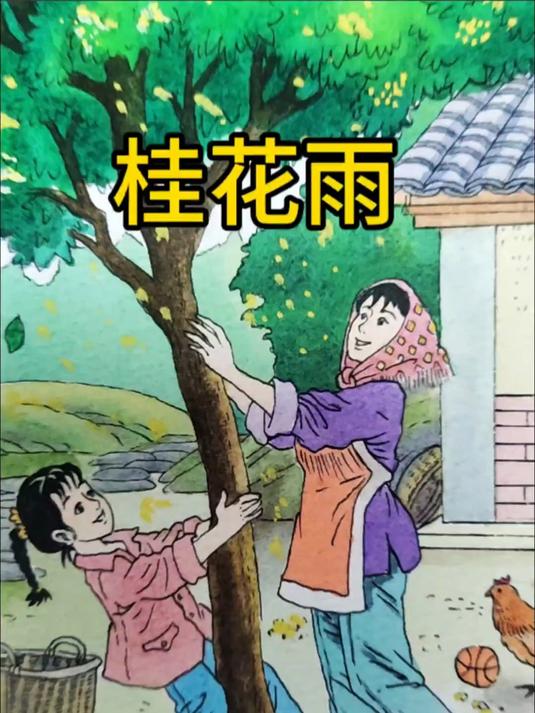 手绘课文插图《桂花雨》
