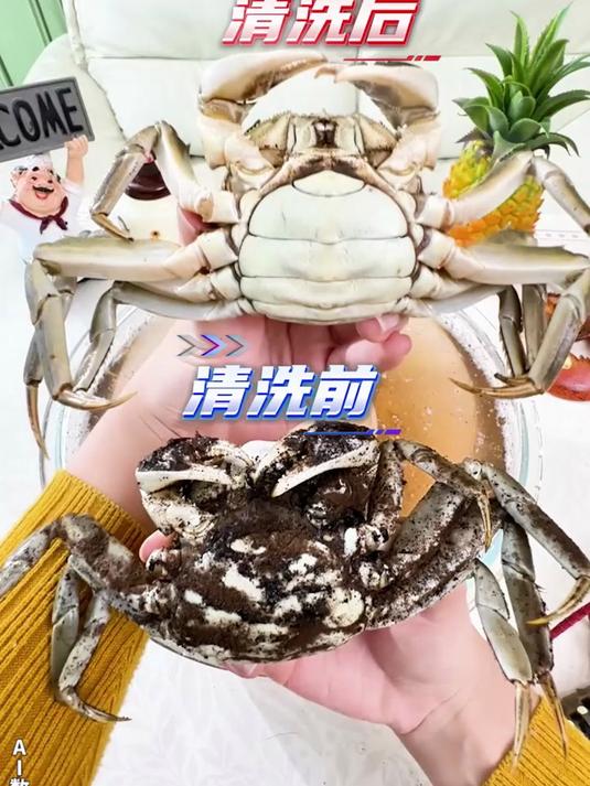 入口食材不将就！苏泊尔净化机，比清水洗得干净 10 倍！
