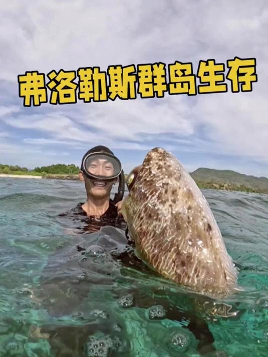 自从在岛上制作了一个弹射鱼枪后，我们的生活迎来了质的改变