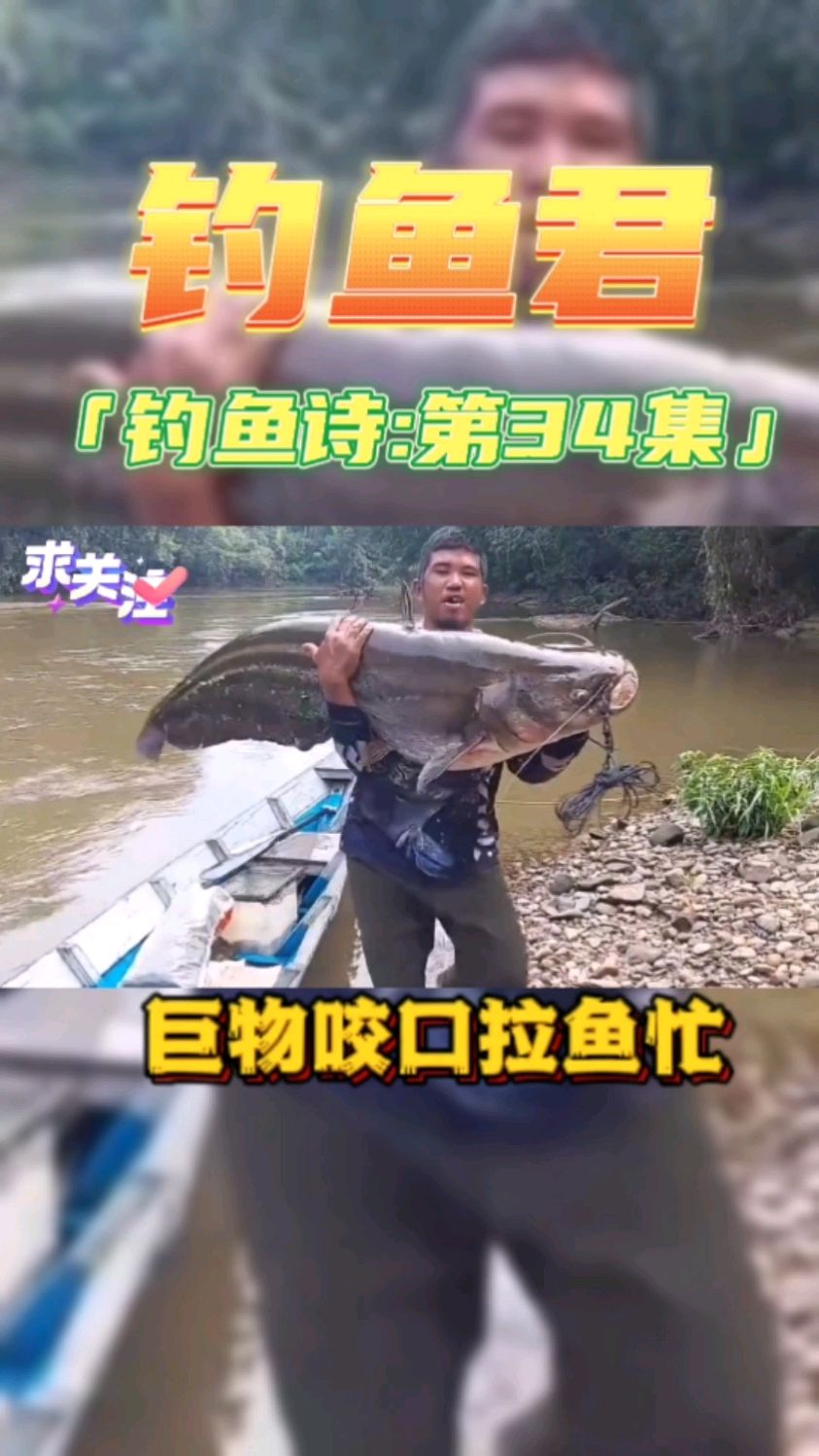 钓鱼君之钓鱼诗第34集:(钓鲶鱼)钓鱼口诀,各位钓友记得看完哦。