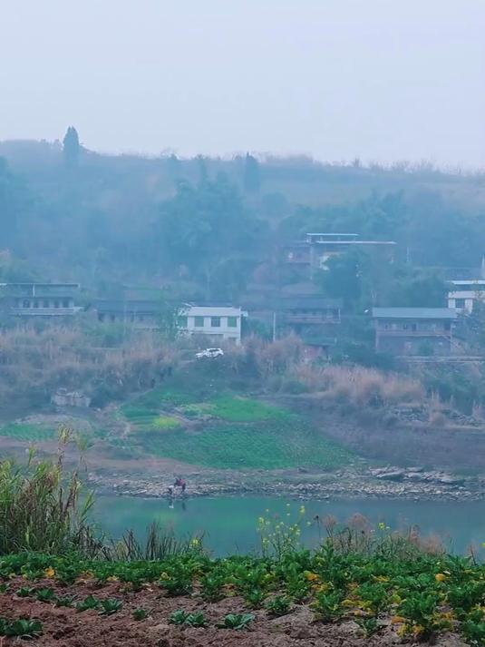 锚得很高兴，结局很悲惨