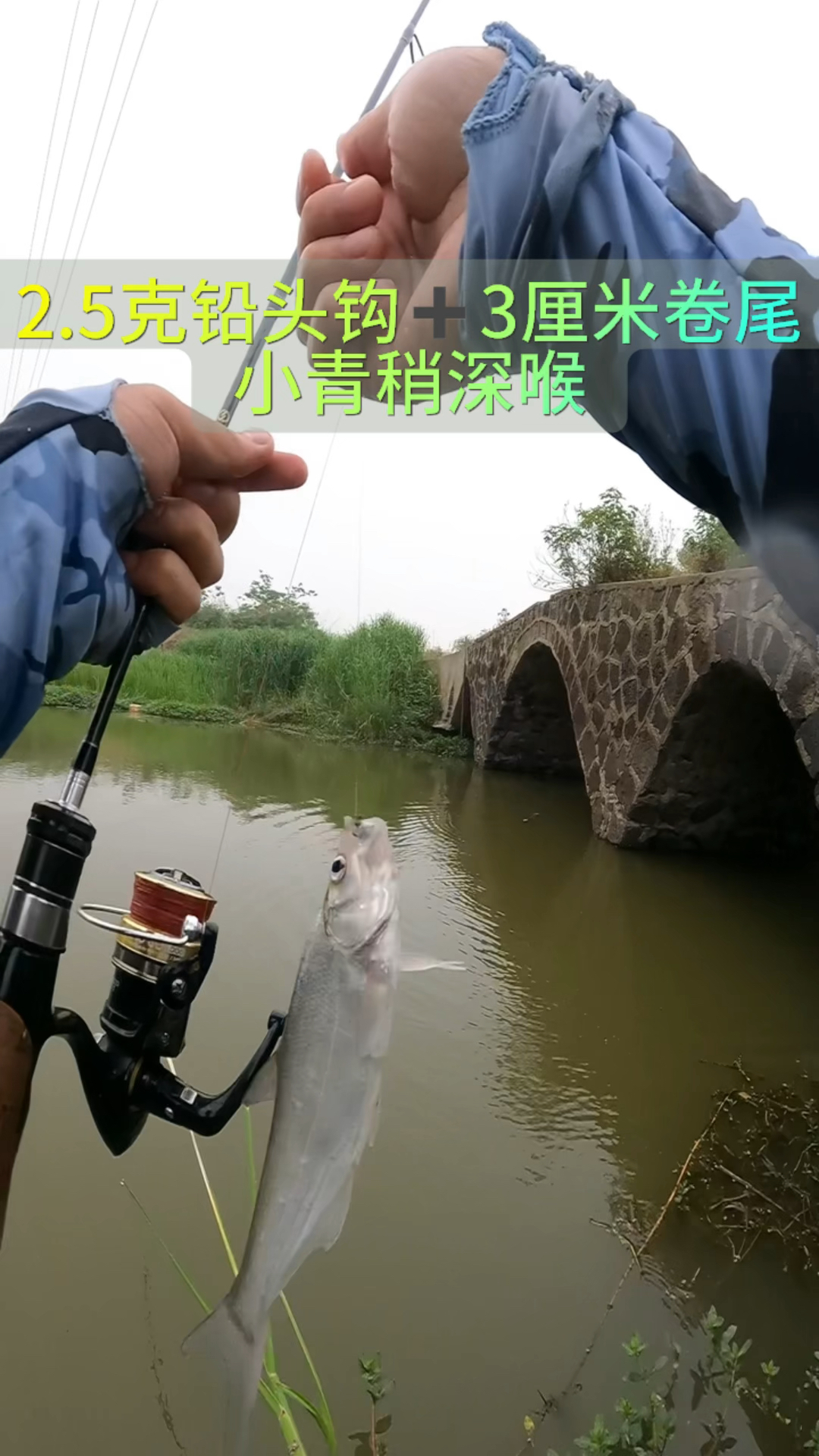 小克重铅头钩加3厘米卷尾鱼口就是猛