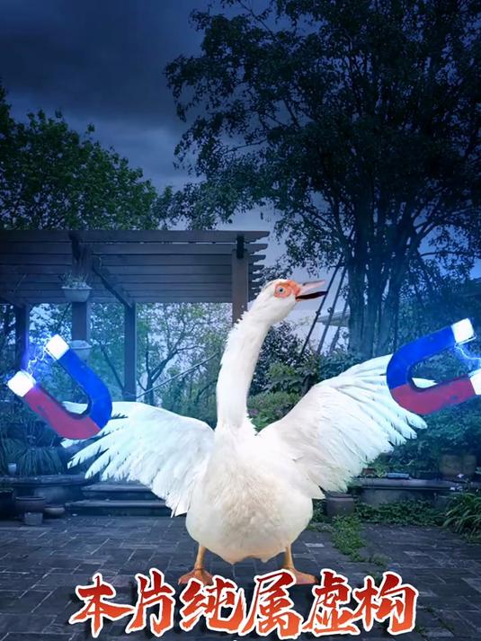 你们要的大白鸭续集来啦!