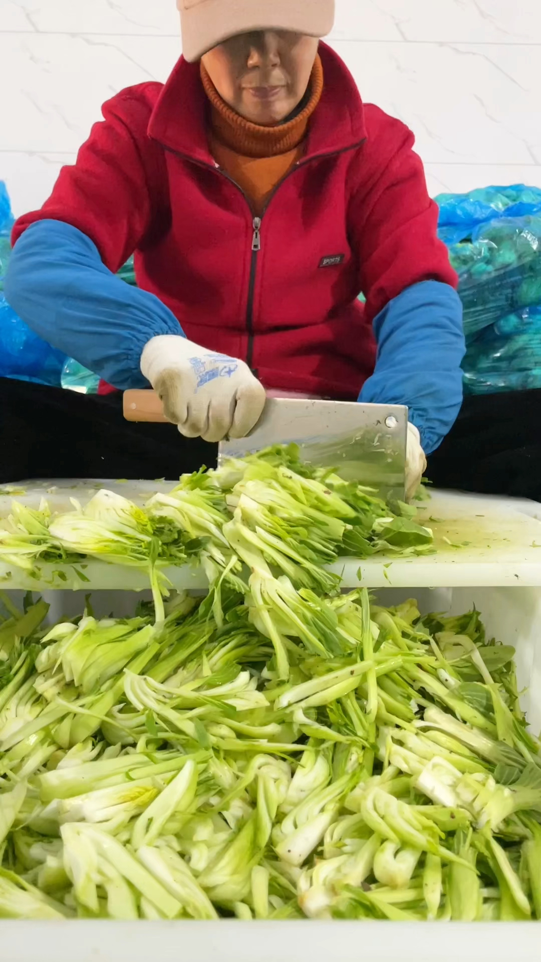 安徽芜湖荻港香菜已经有百年历史了,非常好吃的美食