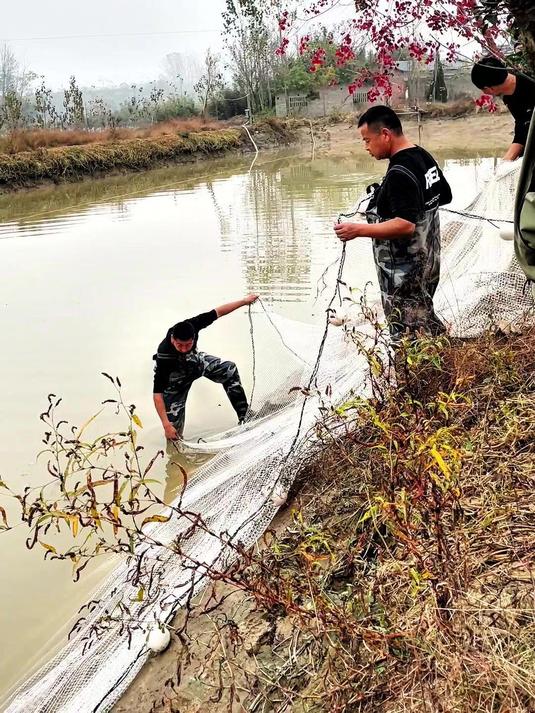 电动抬网安装教程 鱼塘抬网 抬网起鱼 电动抬网安装方法