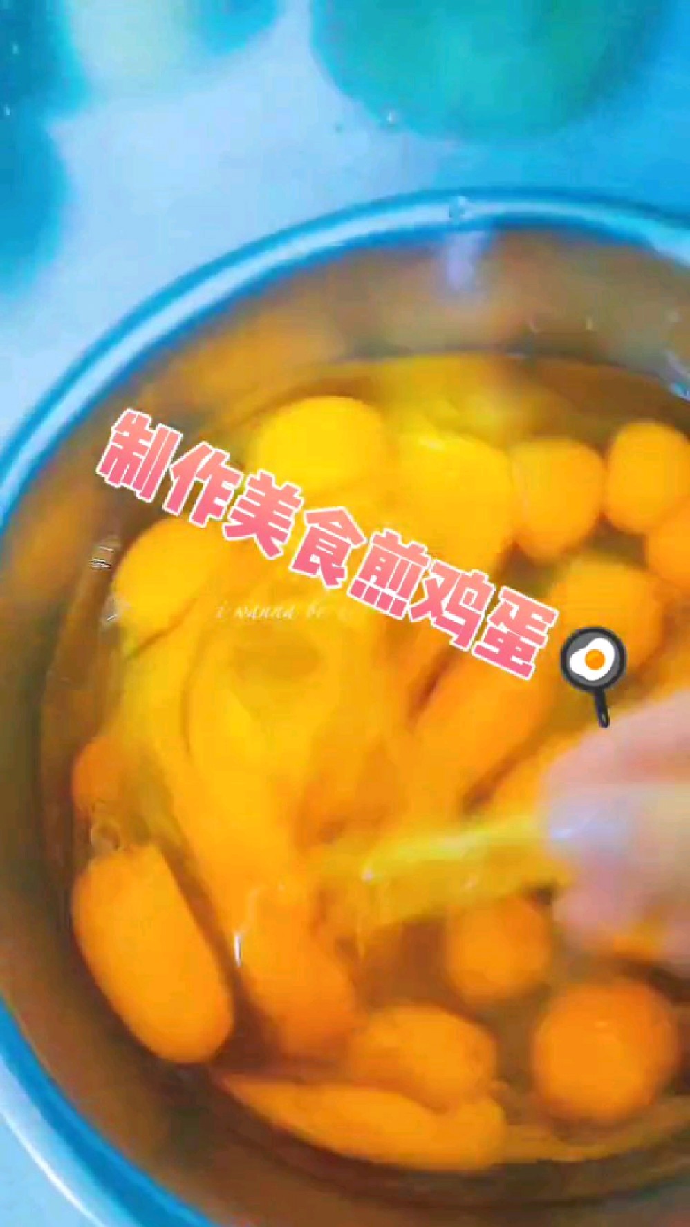 制作美食煎鸡蛋