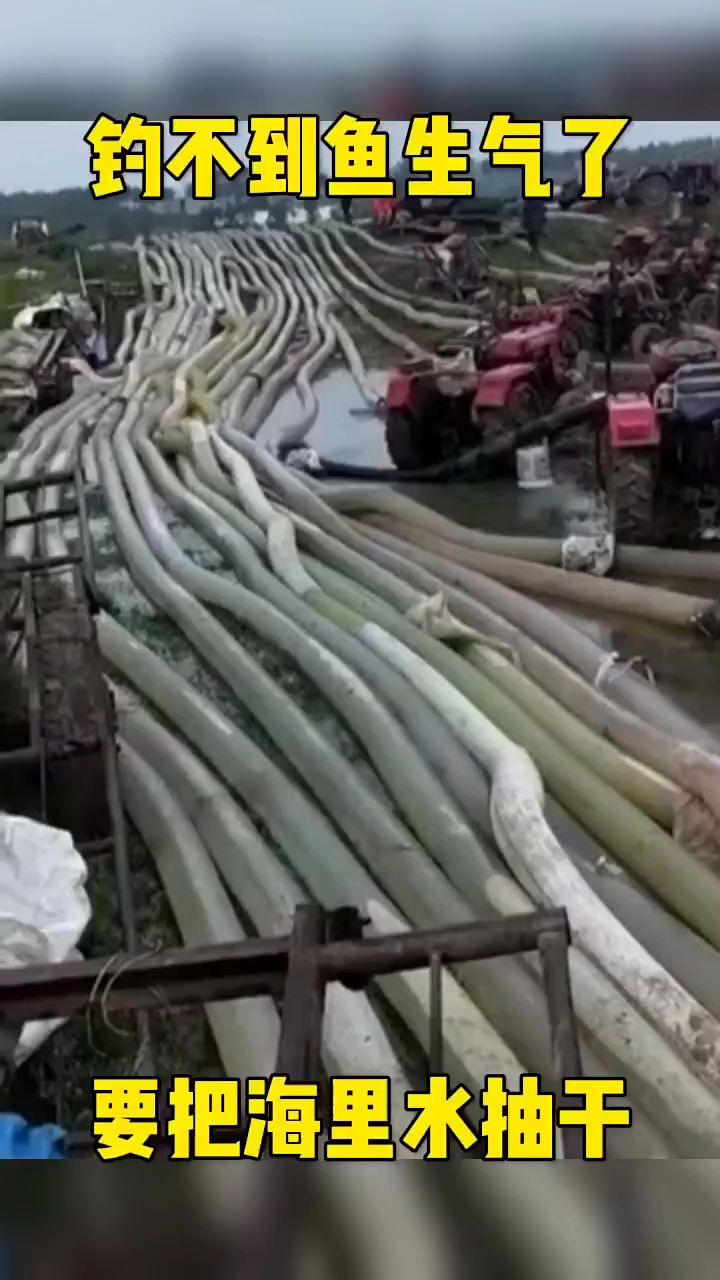 钓不到鱼生气了