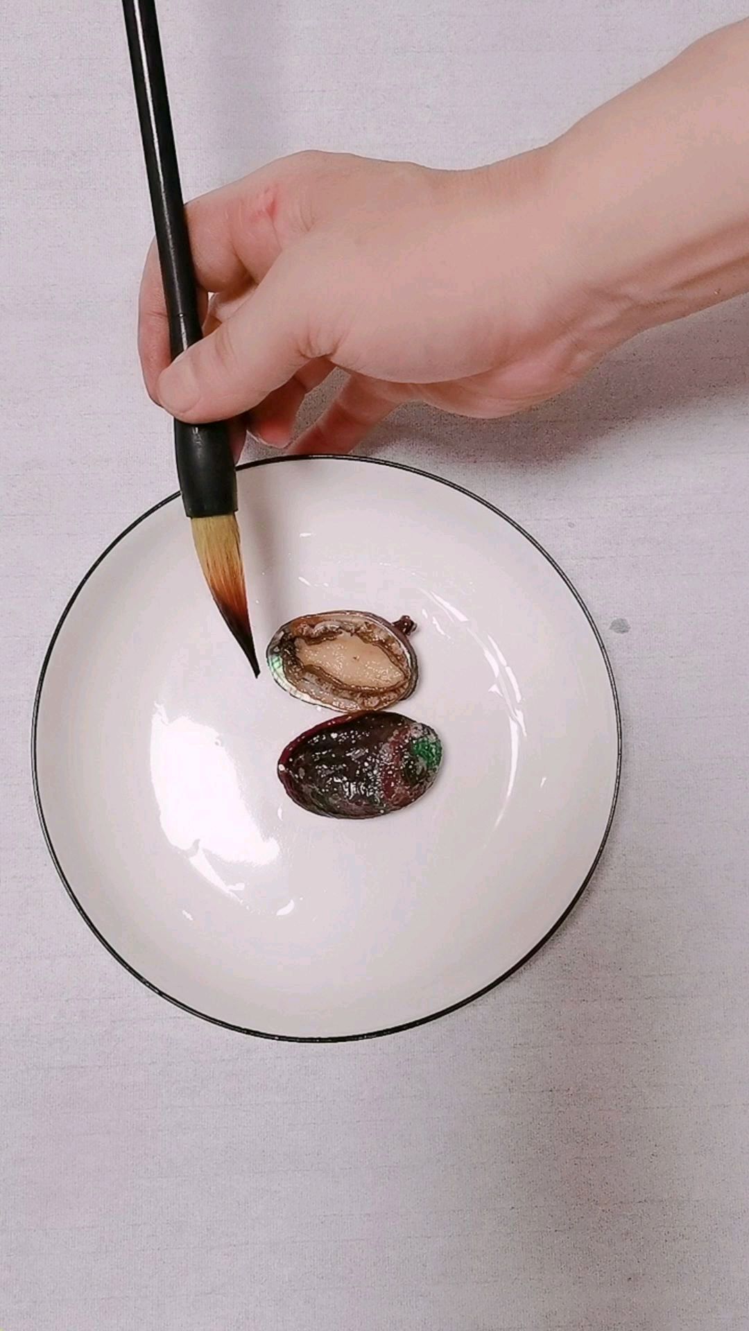 教你画鲍鱼