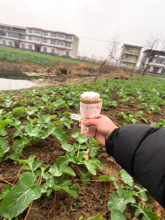 阿迁一不小心把它的鸡冠子剪掉,实在没办法只好做个爆炒鸡冠吃掉