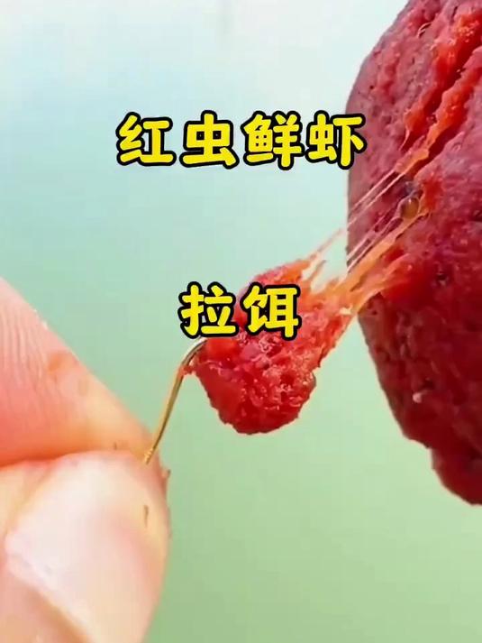 美人鱼鲜红虫虾拉饵 免开饵 冬季鲫鲤绝杀饵料