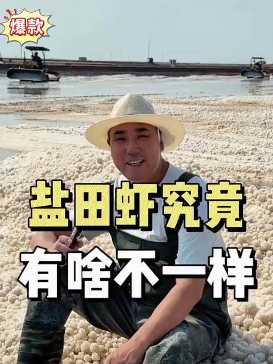 盐田虾正宗的发源地渤海湾,鲜活速冻,超低温锁鲜,保留最鲜口味