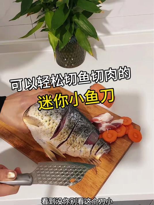 不锈钢龙鳞纹迷你小刀 法鼎家用便携 杀鱼开背削皮切果神器#刀##好物推荐#