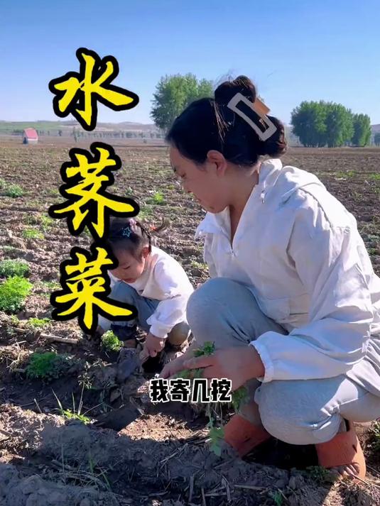 水荠菜馅儿饺子 挖野菜真的会上瘾……