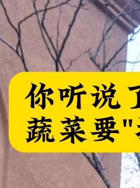 明年2月份蔬菜也要办理身份证了