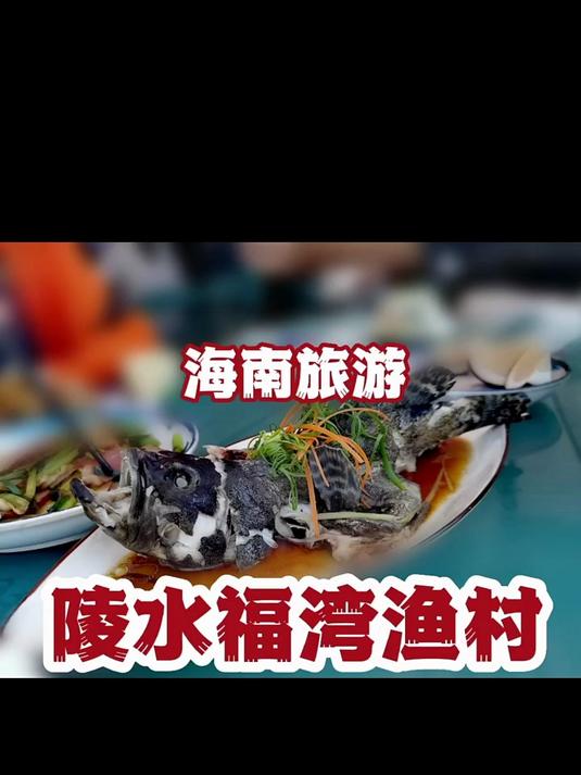 「海南旅游专辑」18 石斑鱼