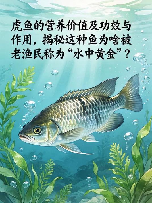 虎鱼的营养价值及功效与作用,揭秘这种鱼为啥被老渔民称为“水中黄金”?