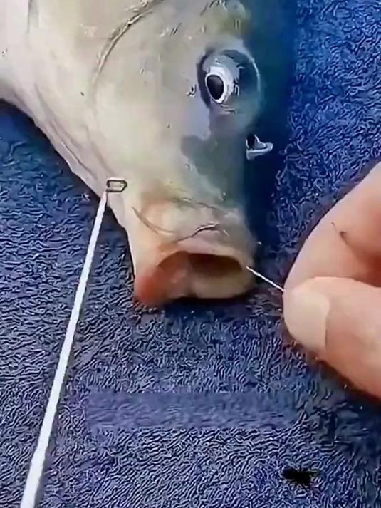 钓鱼黑科技！折叠式盲捅取钩器收纳方便还防挂线水库野钓必备神器