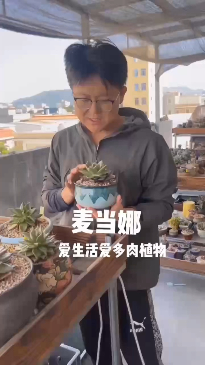 爱多肉爱生活
