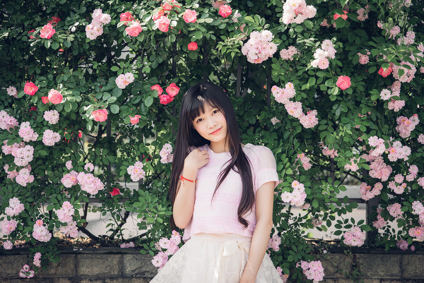 图片[4]-Blooming rose-六色网