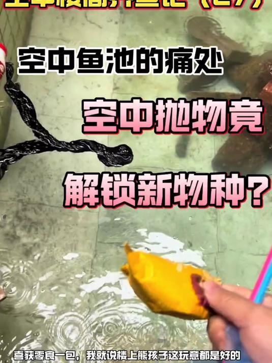 空楼顶养鱼记 _ 打造生态鱼池