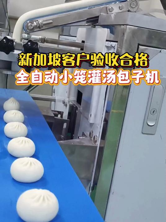 新加坡客户验收合格,全自动小笼灌汤包子机