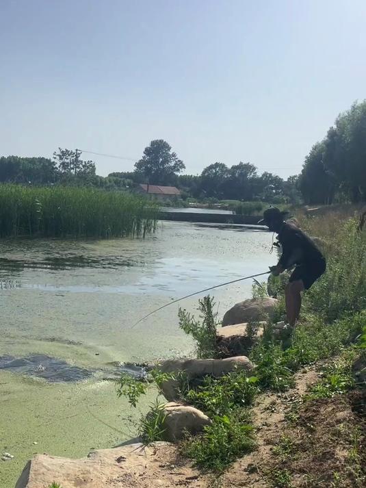 小绿竿！模仿10斤+巨黑回鱼飞鱼