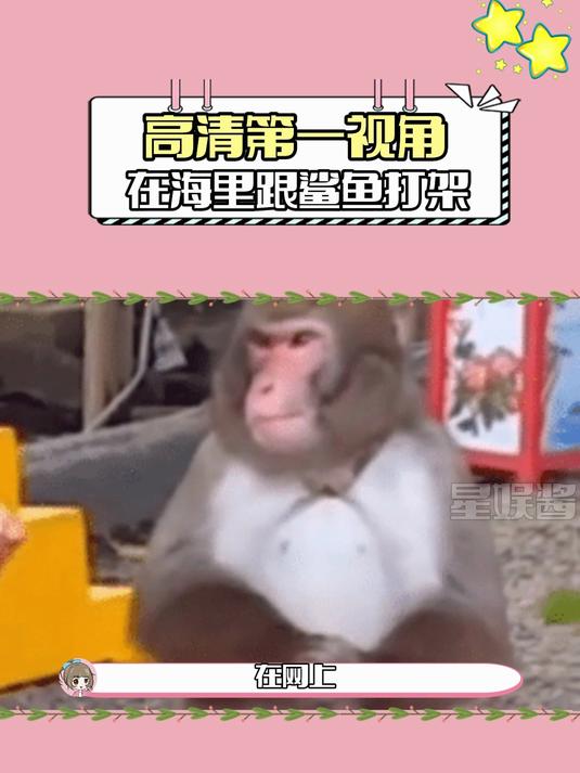 鲨鱼：哥你有刀早说啊，你看你