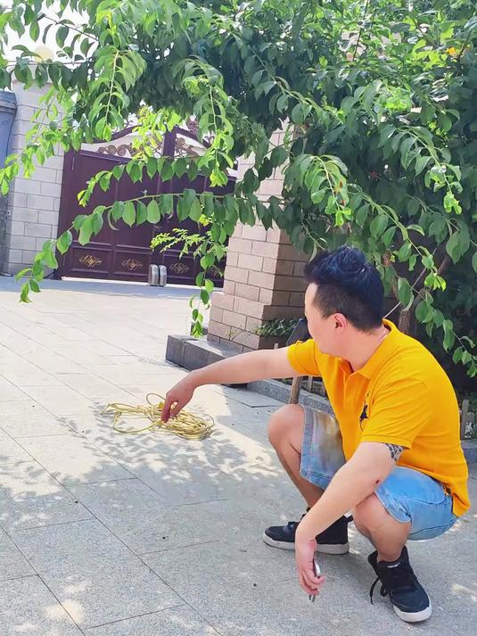 大皮球选妃记 大皮球的十斤反骨，像极了相亲时的你