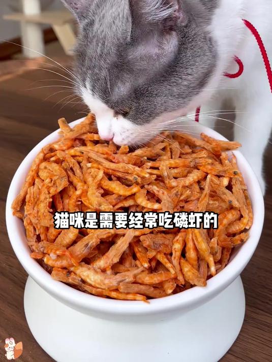 宠物磷虾冻干,富含深海磷虾油,对狗狗心脑和眼睛很好