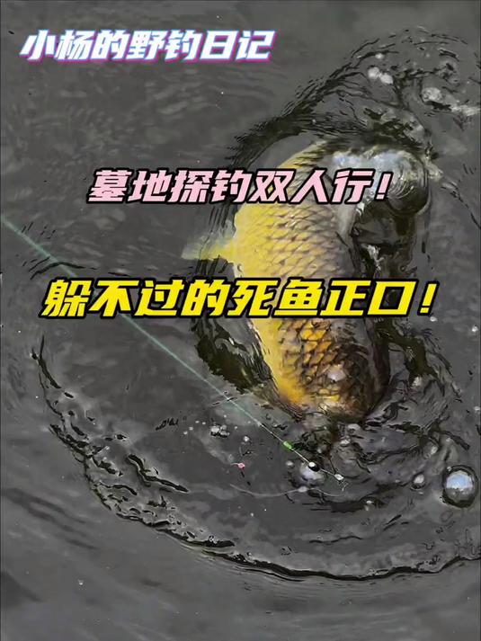 后续来了!墓地死鱼正口!带着童子还是躲不过!真的太邪门了!