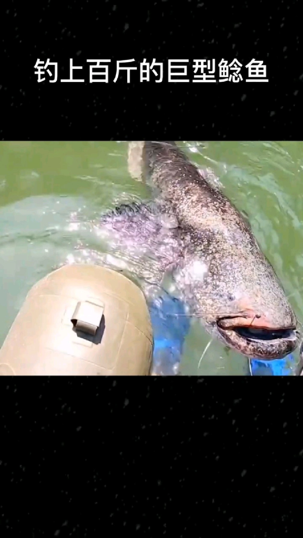 小哥钓上百斤的巨型鲶鱼