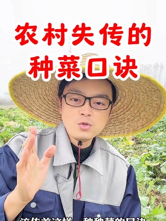 农村将要失传的种菜口诀