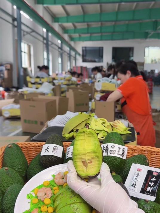 牛油果奶昔新配方,加入香蕉和燕麦,饱腹感持续6小时