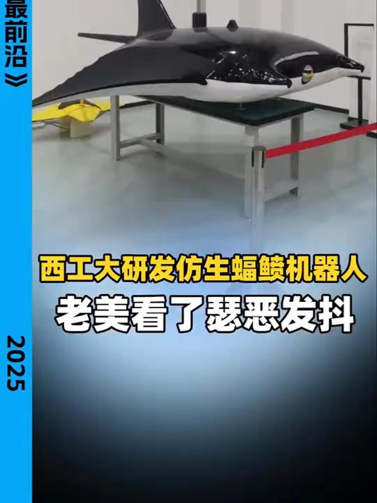西工大研发仿生蝠鲼机器人 老美看了瑟瑟发抖