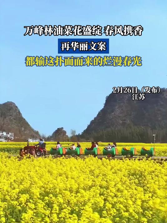 万峰林油菜花盛绽,春风携香,再华丽文案,都输这扑面而来的春光
