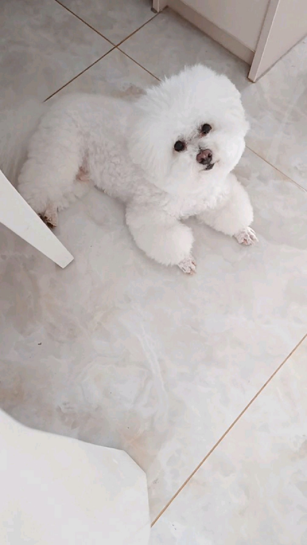 吃饭也要陪我的小可爱