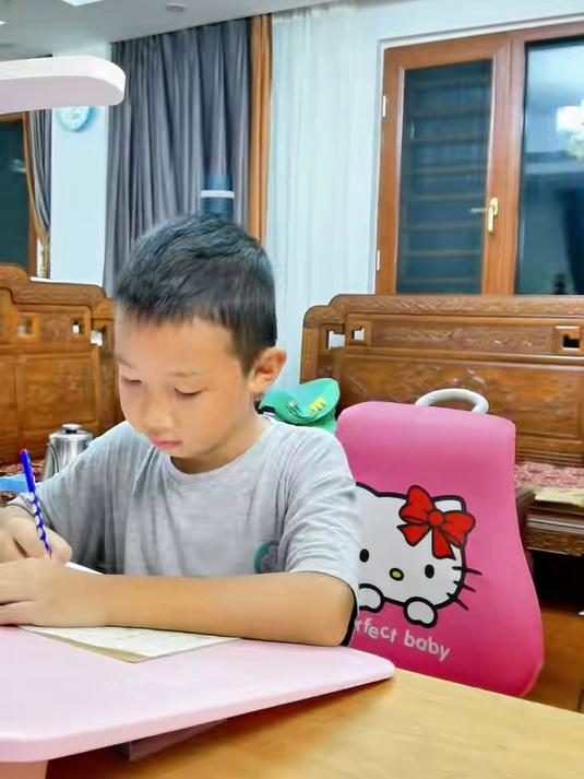这样的果子你吃过吗 新鲜应季水果 新鲜采摘 水果 鸡心果