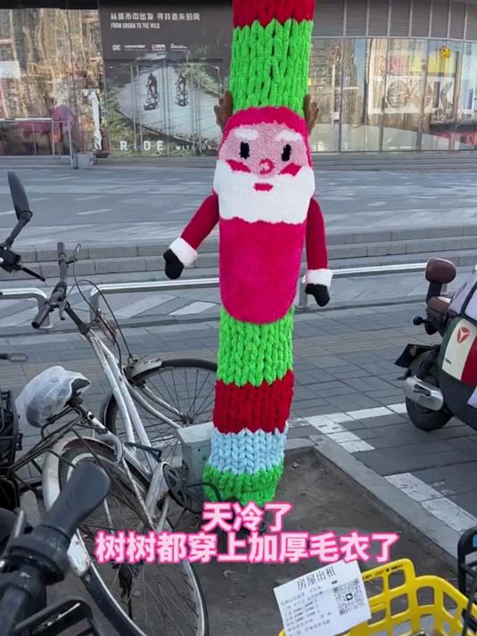 天冷树树都穿上毛衣啦!