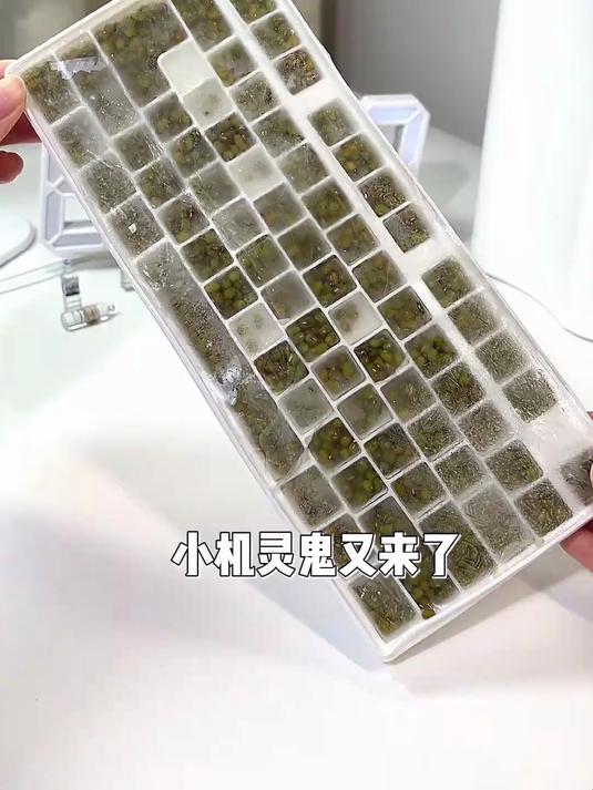 姨妈热饮绿豆椰奶西米露