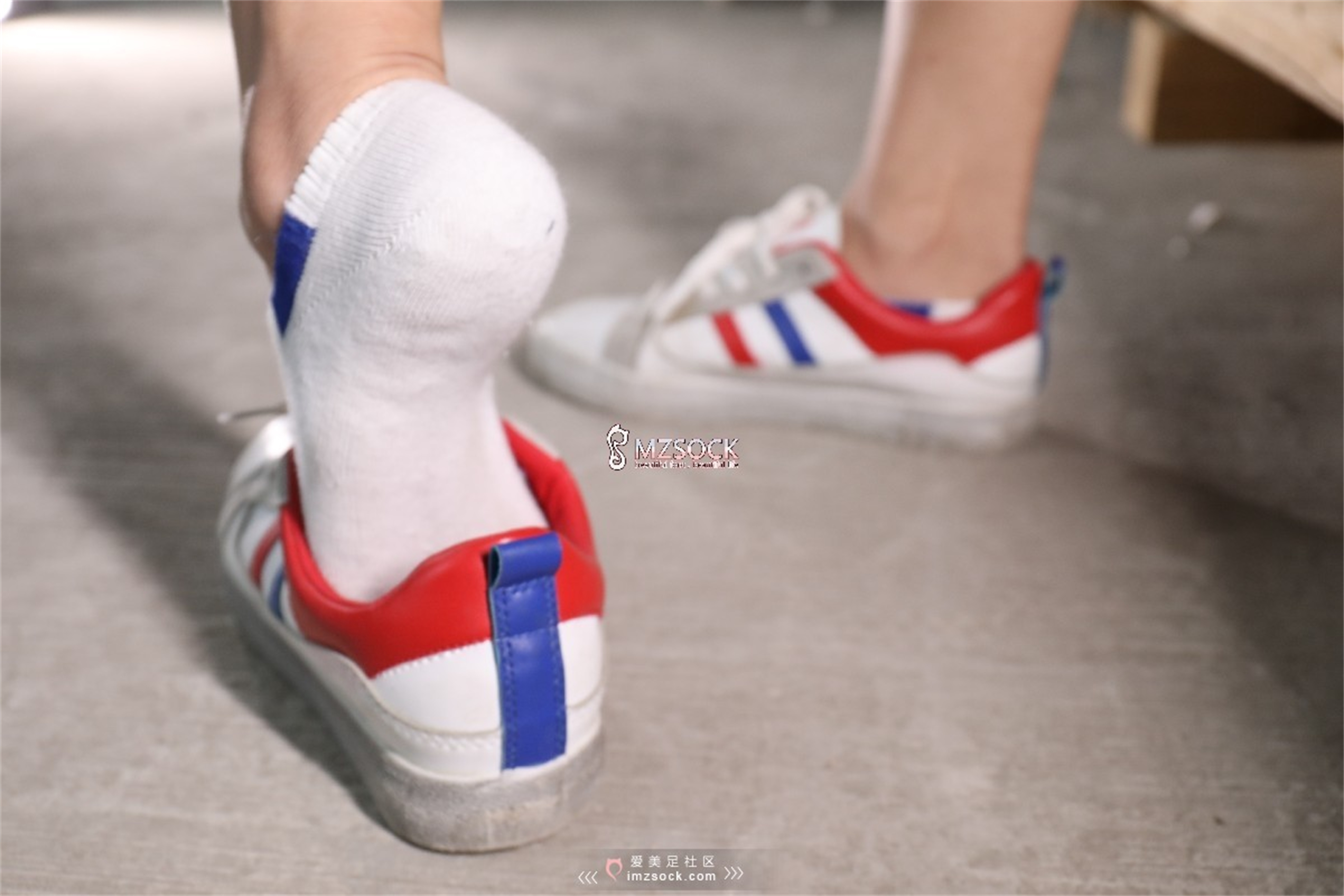 图片[19]-[MZSOCK]爱美足 NO.066 叮叮[102P238M]-六色网
