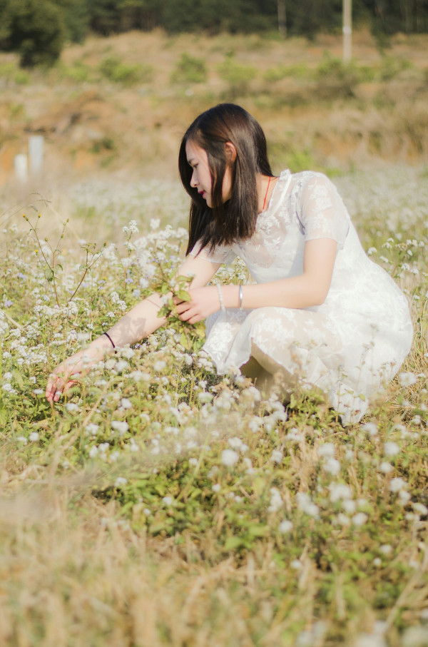 图片[9]-花儿朵朵开-六色网