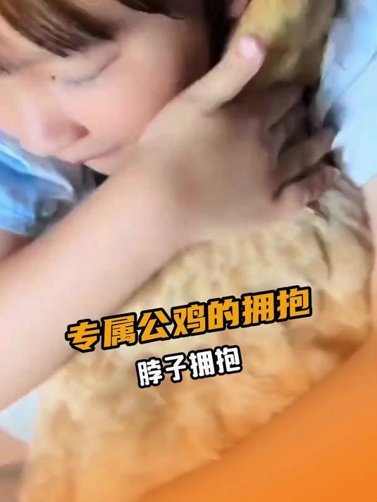 没有手却用脖子创造了专属的温柔 治愈 拥抱 公鸡