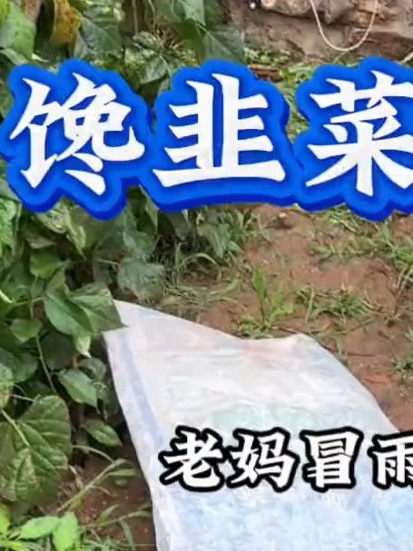 山东人拒绝不了的韭菜盒子