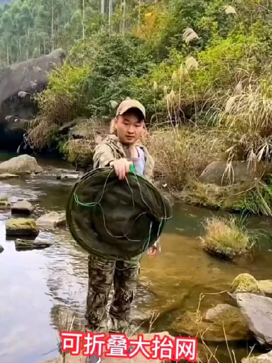 一网通杀江湖鲜！折叠搬筝兜底狂捞 鱼虾蹦跳无处逃遁