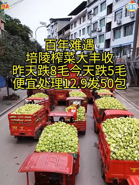 涪陵榨菜天下闻名鲜脆爽口畅销世界52个国家是世界三大名腌菜之一
