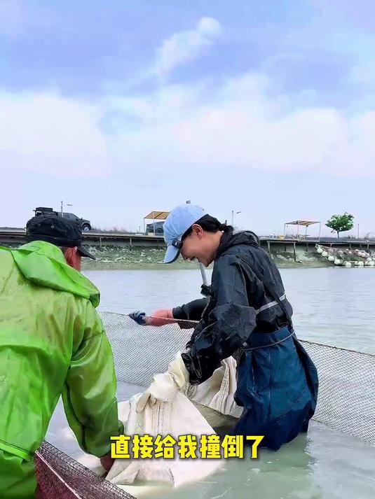 花50万包下一个海鱼塘抓龙趸,看看最后究竟是赚还是赔～(4)#真实生活记录#