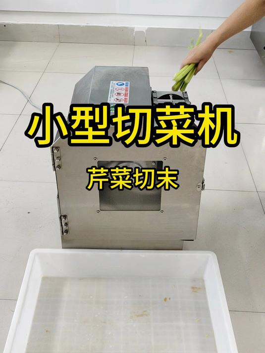 商用小型切菜机