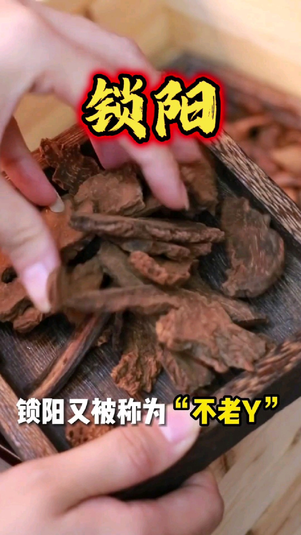 这个就是大家熟知的锁阳