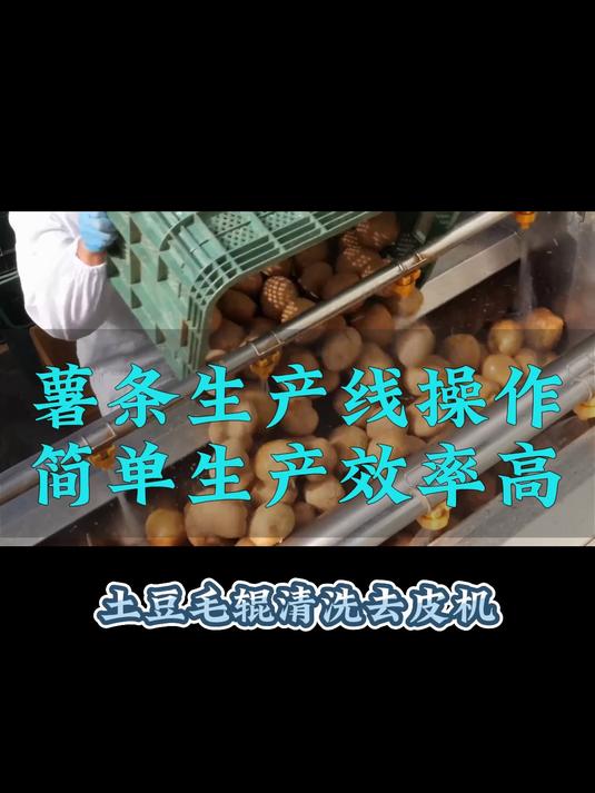 薯条生产线，薯条生产设备，薯条加工设备，薯条油炸机薯片油炸机