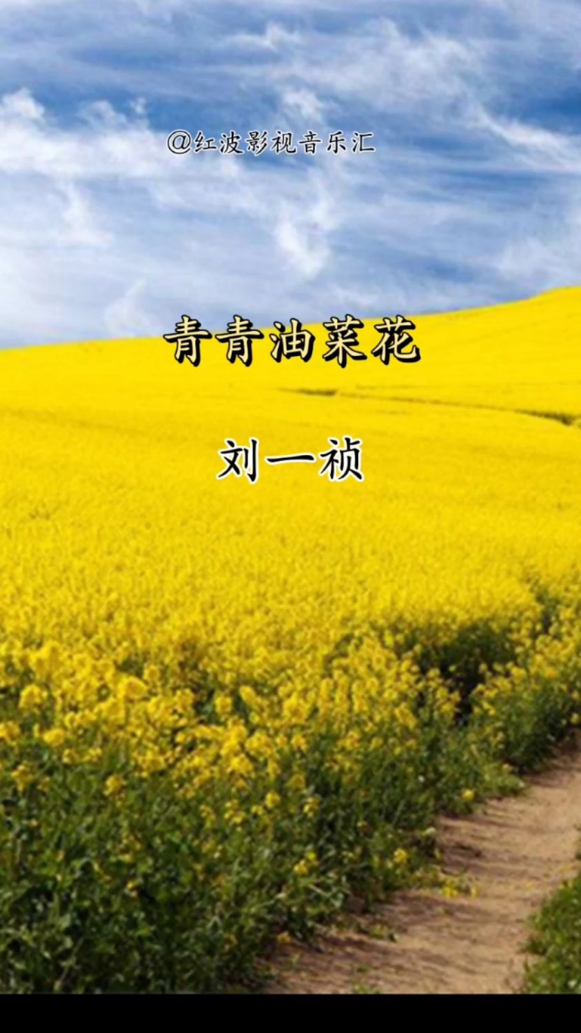 经典音乐《青青油菜花》演唱:刘一祯